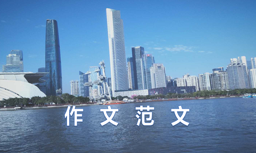 这个假期我学会了什么初二作文600字